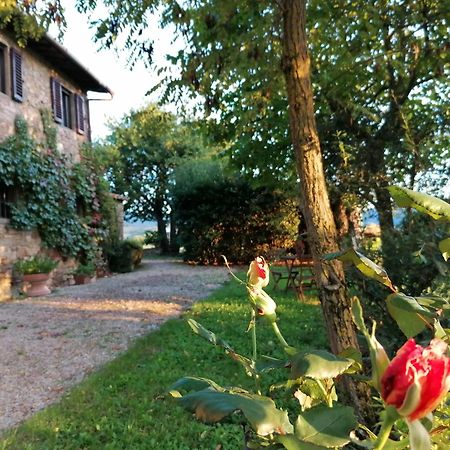Appartamento Casa Gioia Greve in Chianti Esterno foto