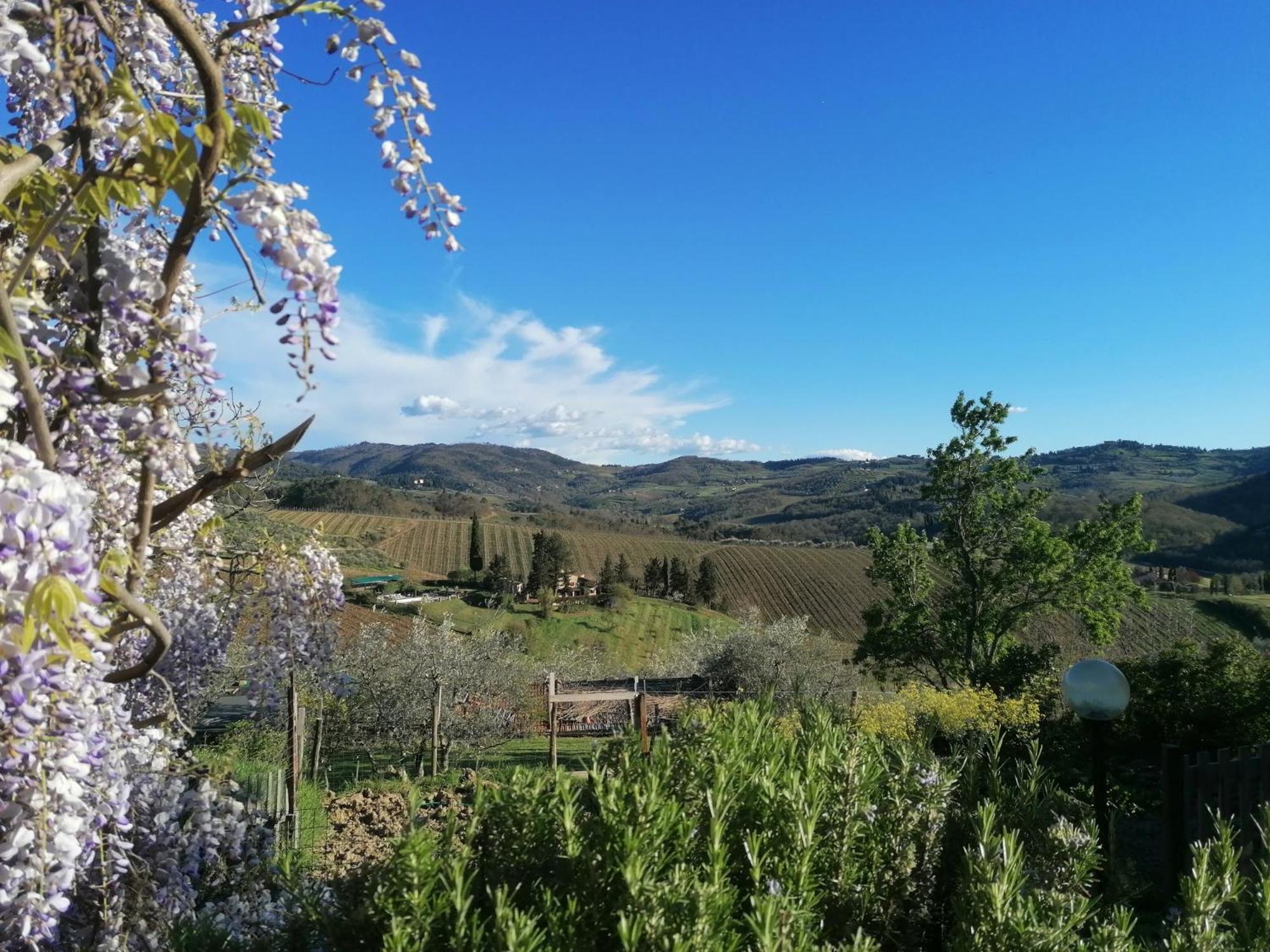 Appartamento Casa Gioia Greve in Chianti Esterno foto